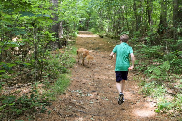 A boy in a green shirt runs on a forest trail with a dog, surrounded by lush green trees and sunlight filtering through.
