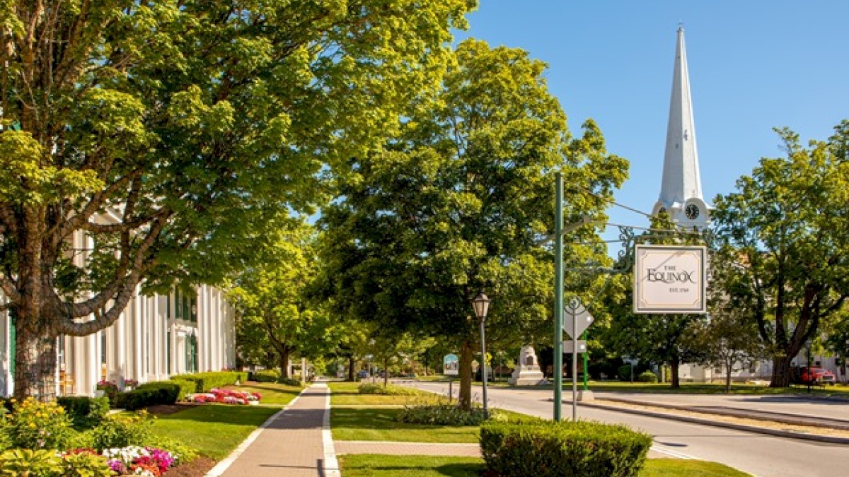 A peaceful street scene with lush green trees, a sidewalk, a church steeple, and a clear blue sky.