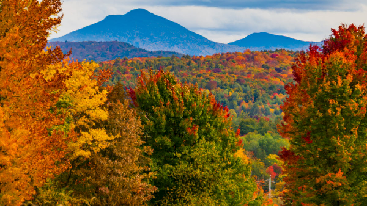 Colorful autumn trees with mountains in the background under a cloudy sky.