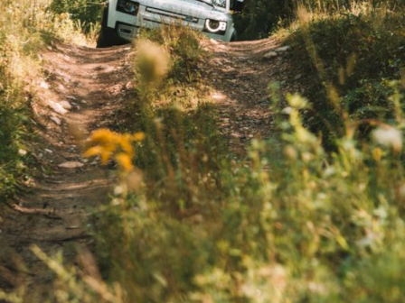 A white off-road vehicle navigates a rugged dirt trail through a lush, green forest.