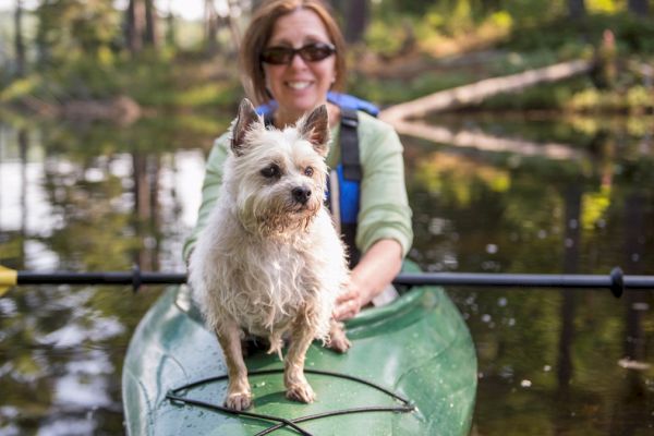 A person kayaking on a lake with a small dog standing at the front of the kayak.