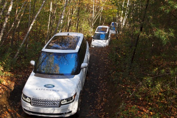 Three white SUVs drive off-road through a forested area with fall foliage. 