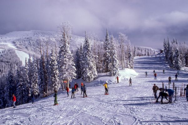 Skiers are on a snowy mountain slope with snow-covered trees and cloudy skies in the background under the sunlight.