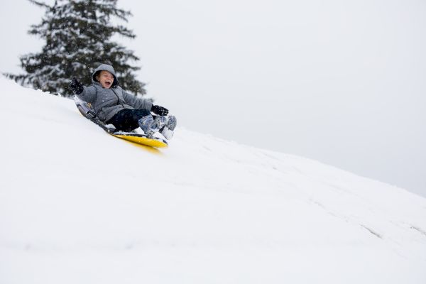 A person wearing winter clothing sleds down a snowy hill on a yellow sled, with a large evergreen tree in the background and a snowy landscape.