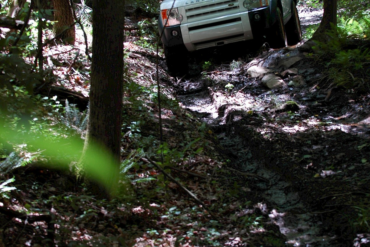 A white SUV climbs a muddy forest trail, trees crowding the path and sunlight filtering through the leaves.