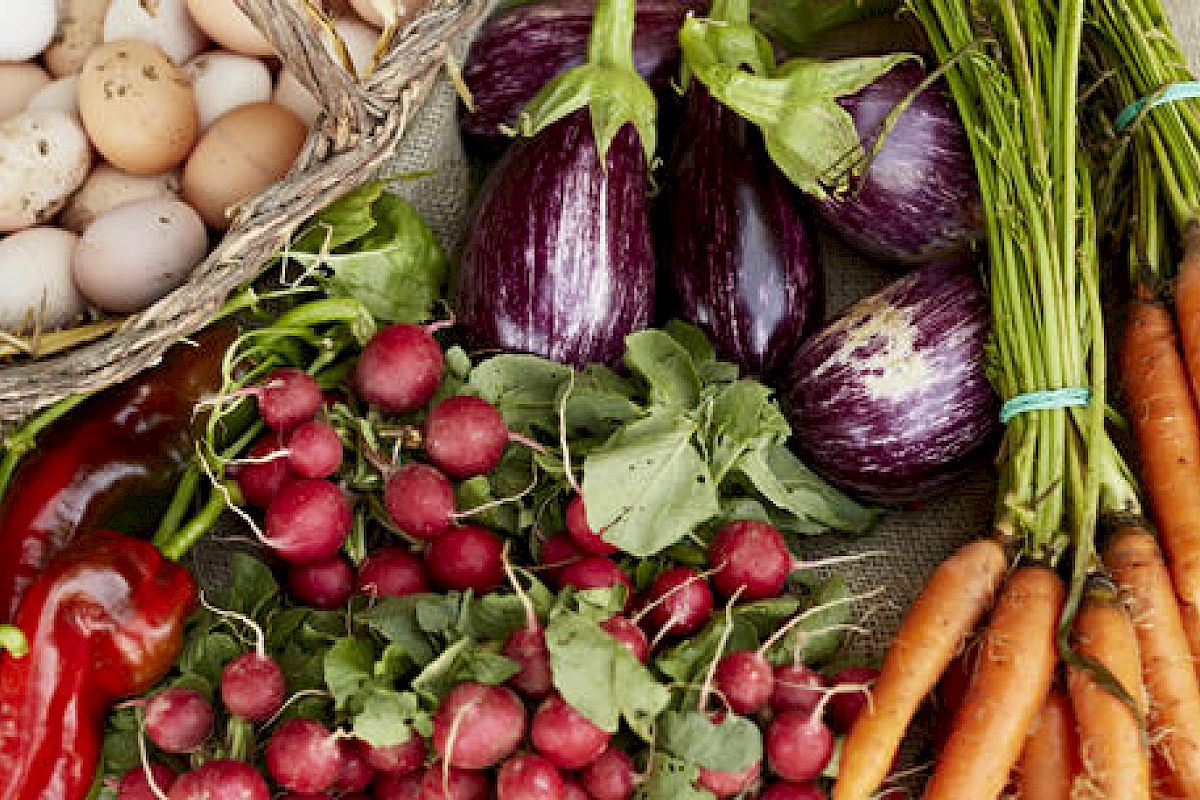 The image features a variety of fresh produce, including eggs, eggplants, carrots, radishes, and red bell peppers, all arranged together.