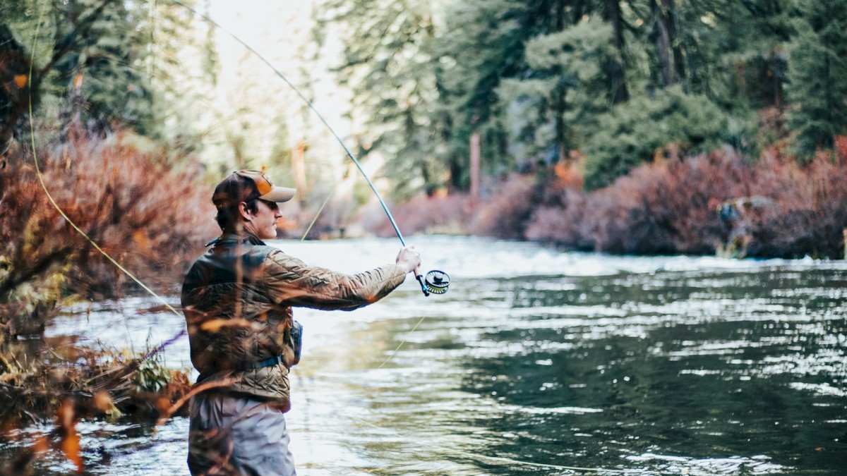 A person is fly fishing in a river surrounded by lush forest, casting their line while standing by the riverbank, wearing fishing gear and a cap.