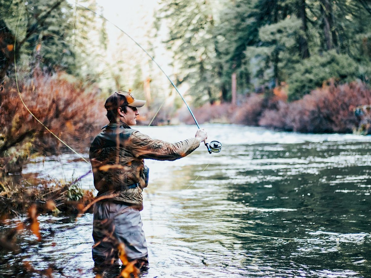A person is fly fishing in a river surrounded by lush forest, casting their line while standing by the riverbank, wearing fishing gear and a cap.