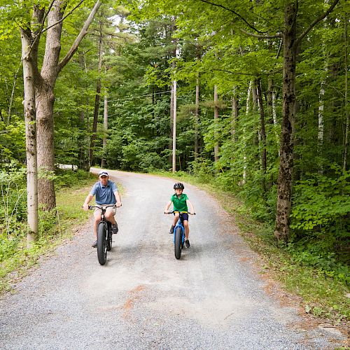 This image shows two adults riding a bike on a nature hike