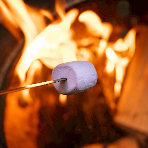 A marshmallow on a stick is held over an open flame, presumably being roasted for a campfire treat.