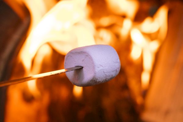 A marshmallow is being roasted on a stick over an open flame, with firewood burning in the background.