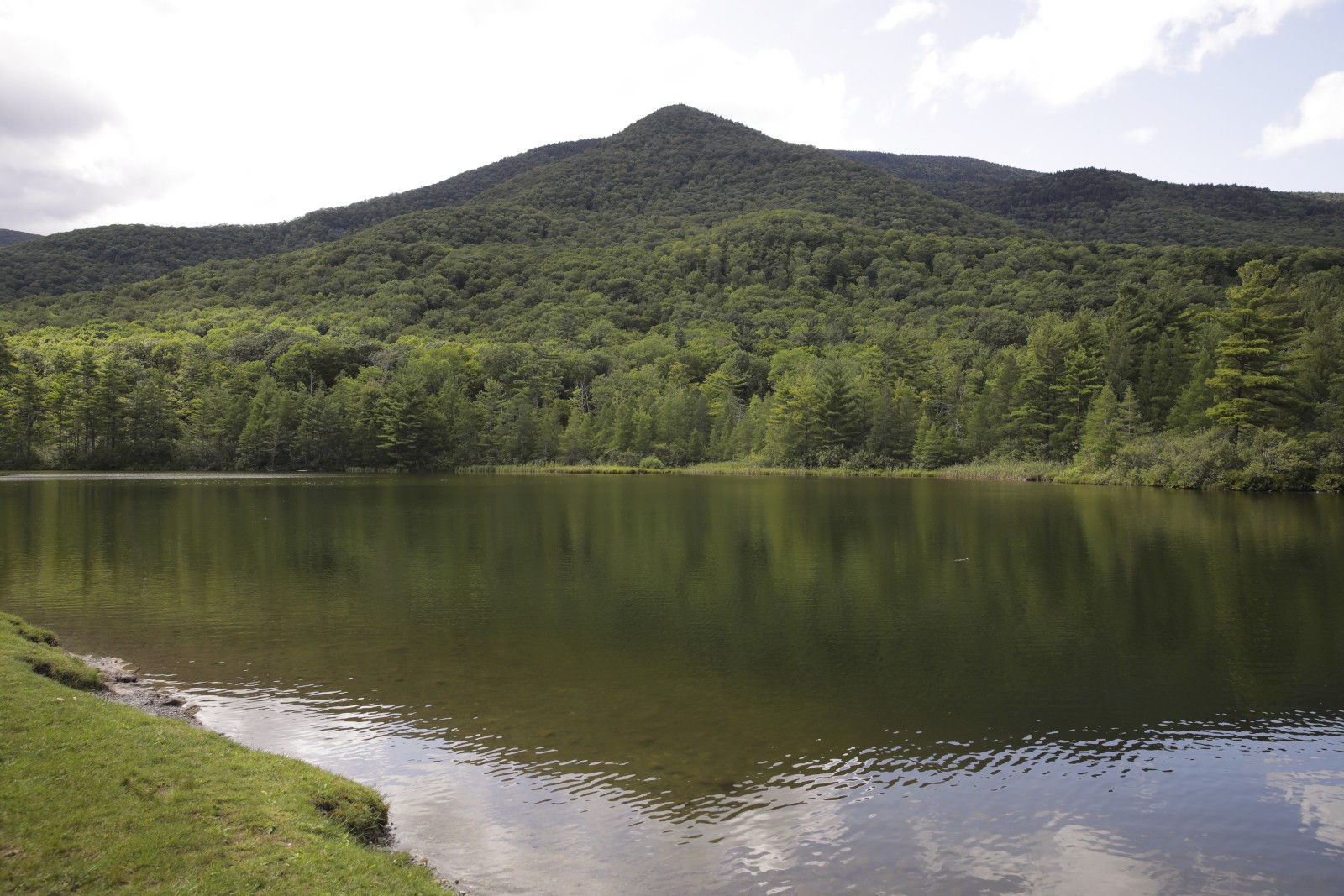 A serene lake reflects a dense forest and a mountain under a partly cloudy sky.