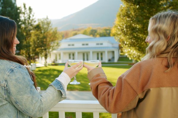 Two people are clinking glasses on a balcony with a picturesque landscape in the background. The scene includes a large house and trees.