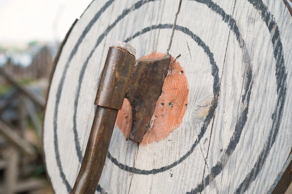 An axe is embedded in the bullseye of a wooden target, with concentric circles painted on the surface.