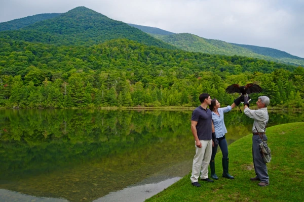 People standing by a lake with lush green mountains in the background, interacting with a man holding a bird of prey on his arm.