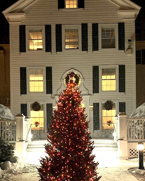 The image shows a festive Christmas tree adorned with lights in front of a brightly lit, multi-story house at night, creating a holiday scene.