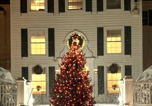 The image shows a festive Christmas tree adorned with lights in front of a brightly lit, multi-story house at night, creating a holiday scene.
