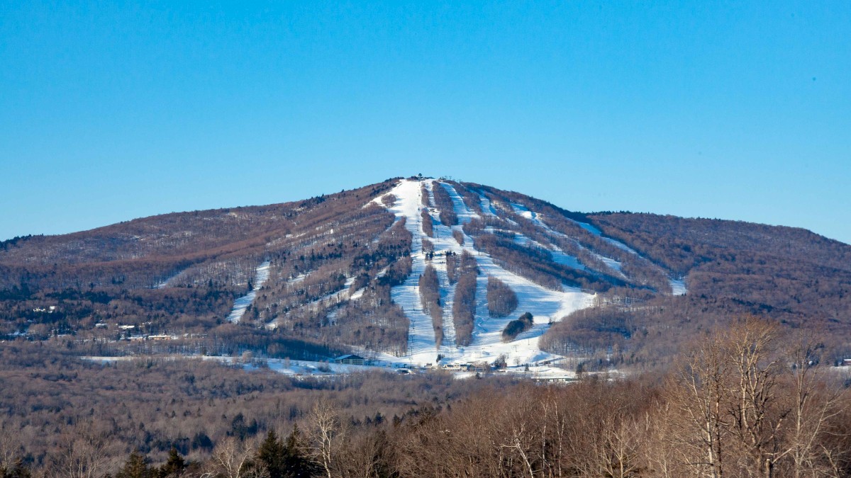 The image depicts a snow-covered mountain with ski trails, surrounded by forests under a clear blue sky. Trees are visible in the foreground.