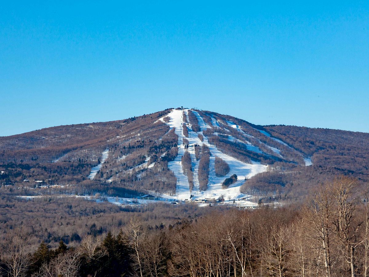 The image depicts a snow-covered mountain with ski trails, surrounded by forests under a clear blue sky. Trees are visible in the foreground.