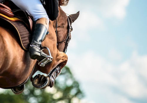 A close-up of a horse and rider jumping mid-air, with the rider’s boot and saddle clearly visible against a background of sky and trees.