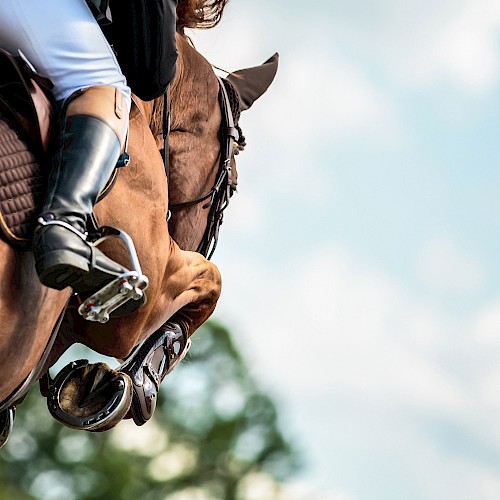 A close-up of a horse and rider jumping mid-air, with the rider’s boot and saddle clearly visible against a background of sky and trees.