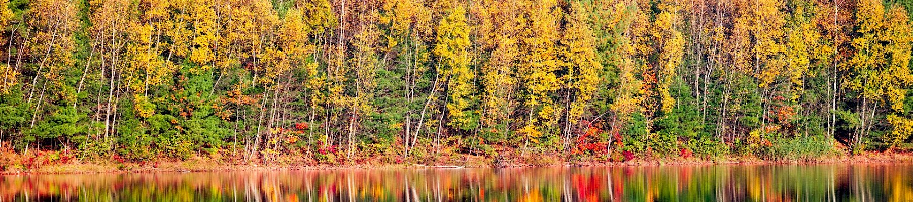 A vibrant autumn forest with yellow, orange, and green foliage is reflected on the calm surface of a lake.