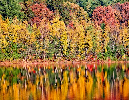 A vibrant autumn forest with yellow, orange, and green foliage is reflected on the calm surface of a lake.