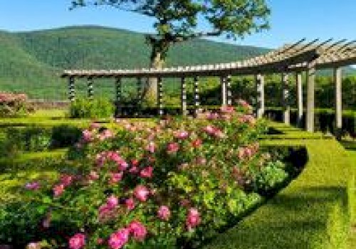A vibrant garden with pink flowers, neatly trimmed hedges, a pergola, and a solitary tree with a mountain backdrop under a clear blue sky.