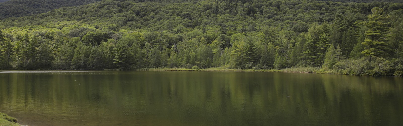 A serene lake reflects a dense forest and a mountain under a partly cloudy sky.