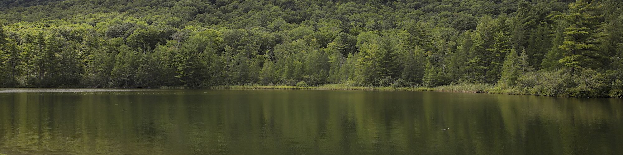 A serene lake reflects a dense forest and a mountain under a partly cloudy sky.