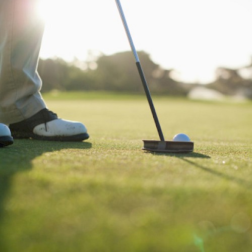 A person is putting a golf ball on a golf course, with the sun low in the sky.