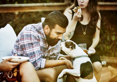 A man interacts with a dog at a casual gathering, while others enjoy food and drinks, creating a warm, relaxed atmosphere.
