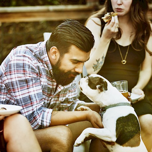 A man interacts with a dog at a casual gathering, while others enjoy food and drinks, creating a warm, relaxed atmosphere.
