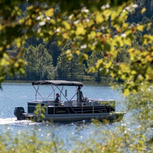 A boat cruises on a lake surrounded by green foliage and trees, viewed through branches, creating a serene and natural scene.