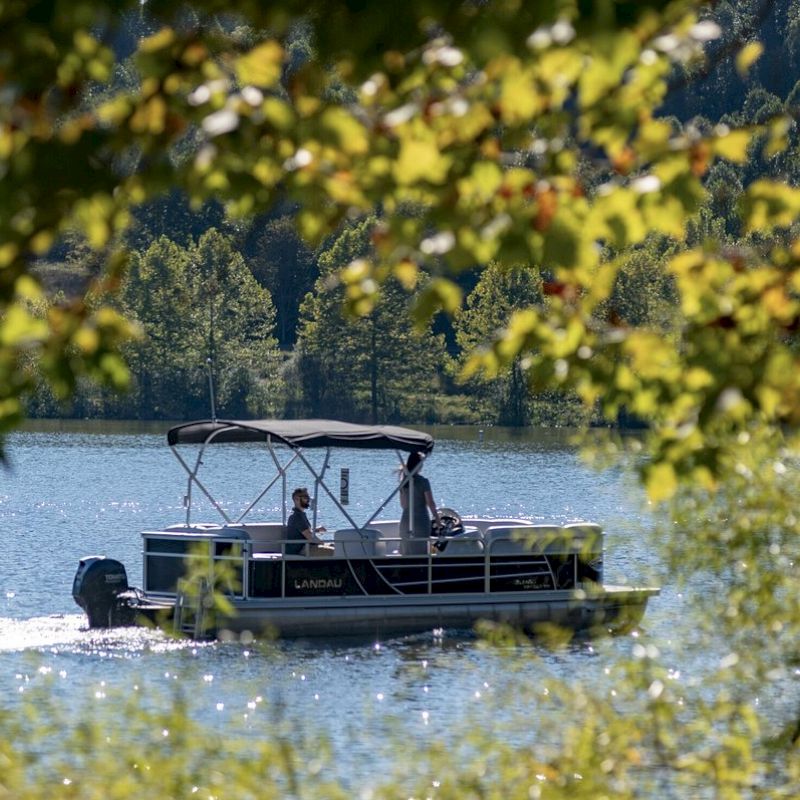 A motorboat glides across a serene lake, surrounded by lush greenery, viewed through branches with leaves.