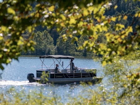 A boat is gliding on a lake surrounded by greenery, with tree branches framing the scene and a forested background.