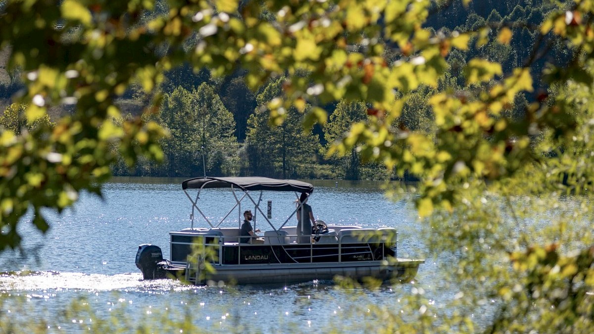 A boat with several people on a lake, surrounded by trees, and framed by branches and leaves in the foreground.