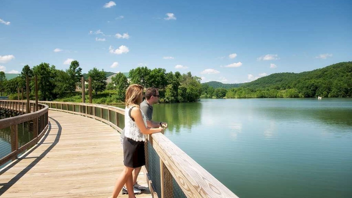 A couple stands on a wooden boardwalk, overlooking a lake surrounded by lush green hills and a clear blue sky.