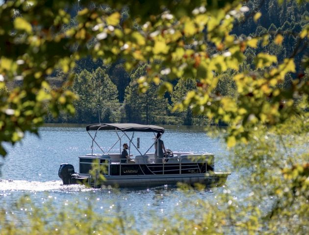 A pontoon boat is cruising on a lake, surrounded by green foliage and distant trees, creating a serene and picturesque scene.