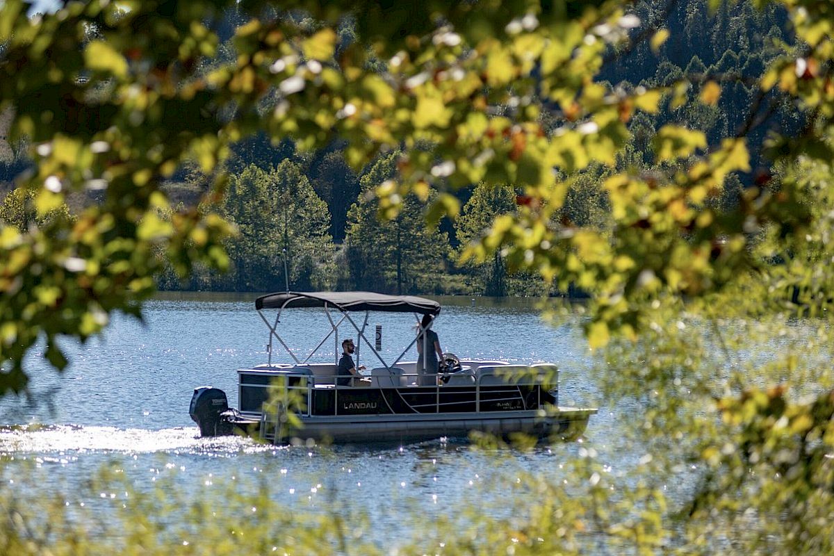 A boat glides across the water, framed by lush green leaves and trees, creating a serene lakeside scene.